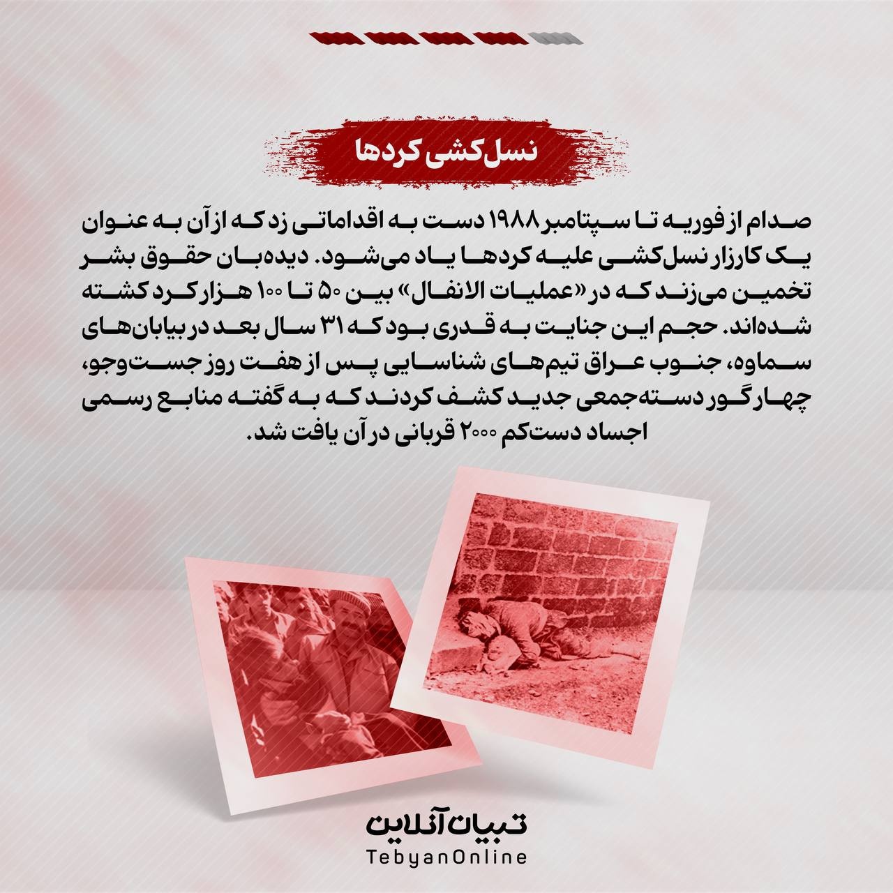 قصاب دجیل