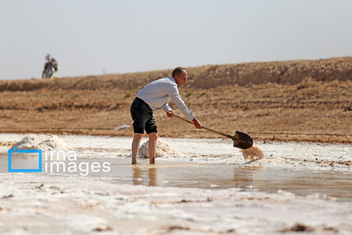 برداشت نمک در دل کویر