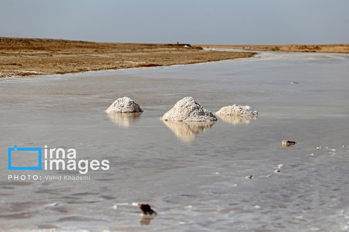 برداشت نمک در دل کویر