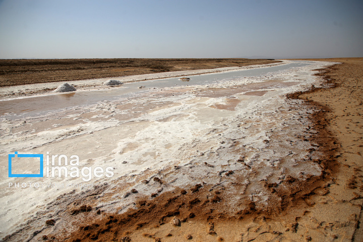 برداشت نمک در دل کویر