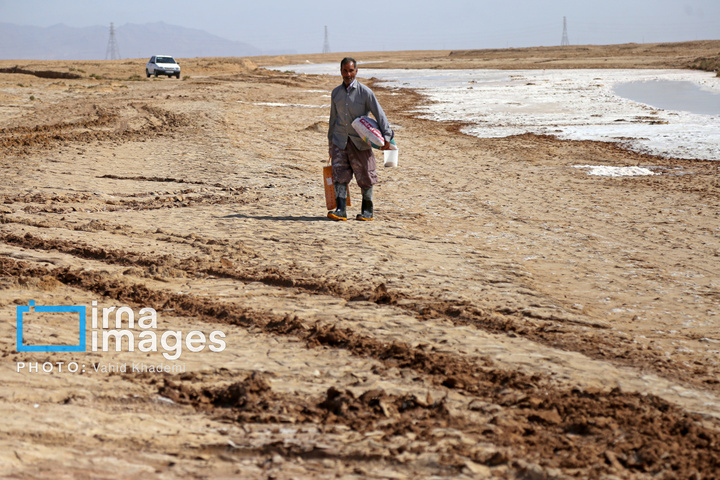 برداشت نمک در دل کویر