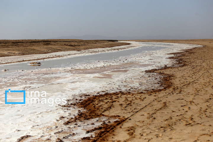 برداشت نمک در دل کویر