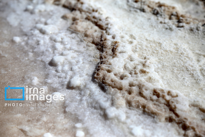 برداشت نمک در دل کویر