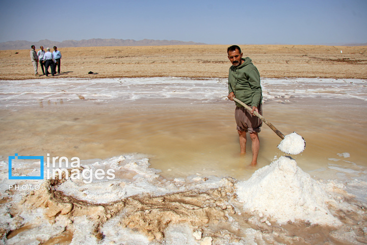 برداشت نمک در دل کویر
