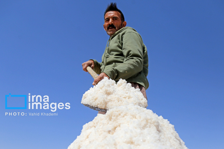 برداشت نمک در دل کویر