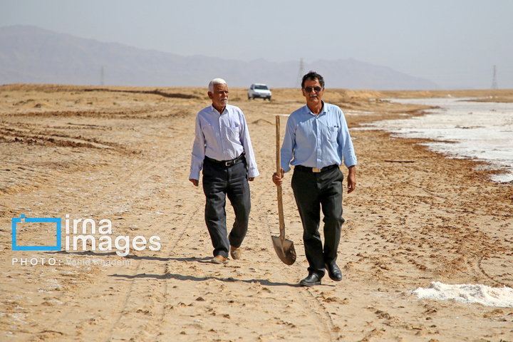 برداشت نمک در دل کویر