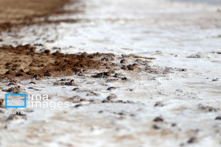 برداشت نمک در دل کویر