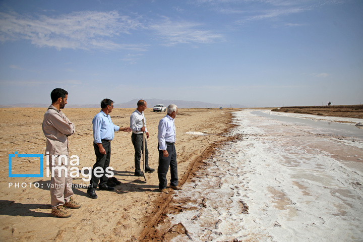 برداشت نمک در دل کویر