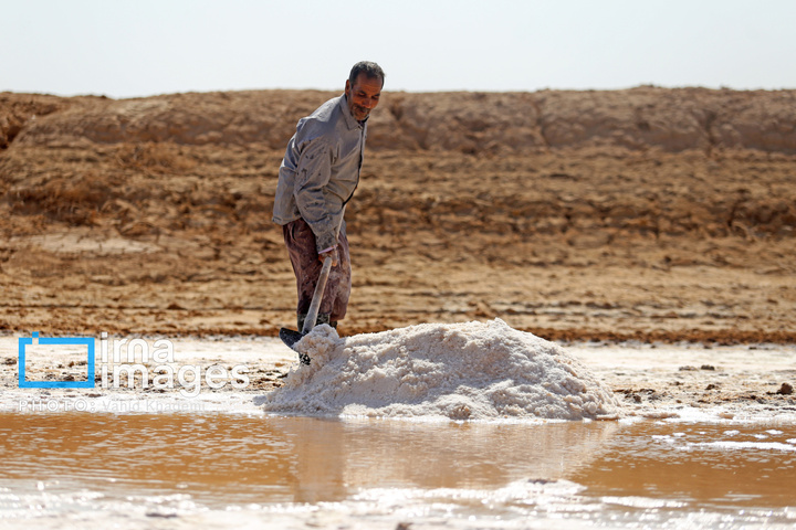 برداشت نمک در دل کویر