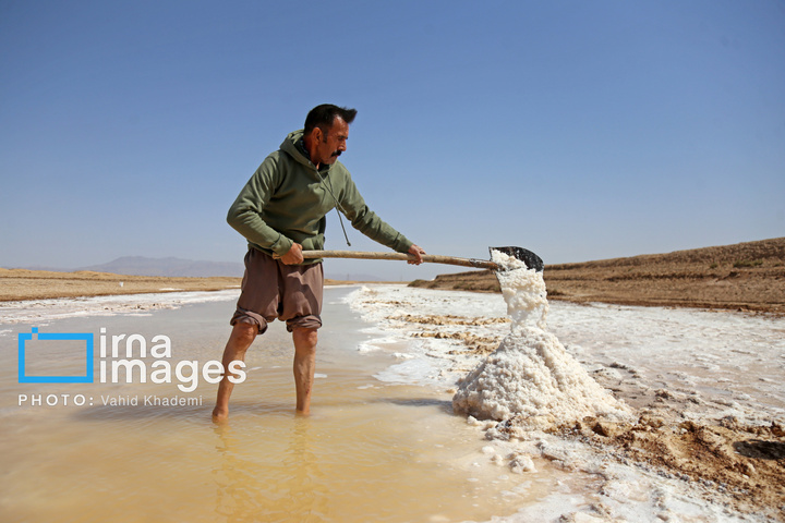 برداشت نمک در دل کویر
