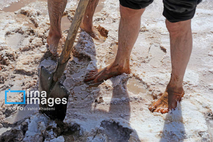 برداشت نمک در دل کویر