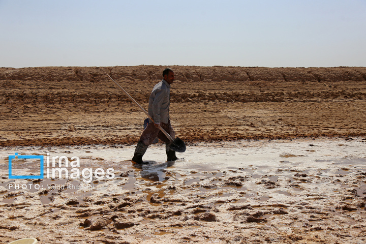 برداشت نمک در دل کویر