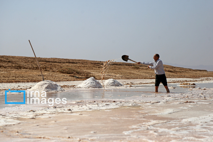 برداشت نمک در دل کویر
