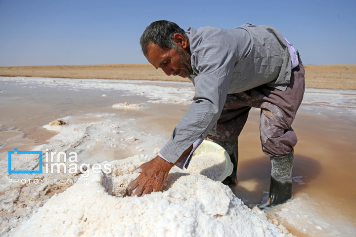 برداشت نمک در دل کویر