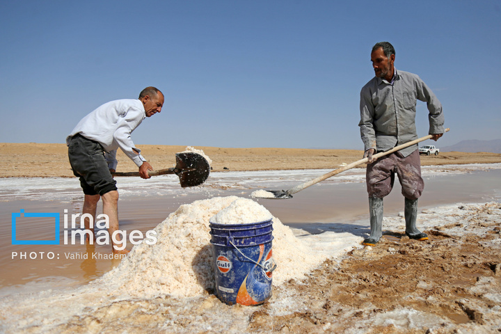 برداشت نمک در دل کویر