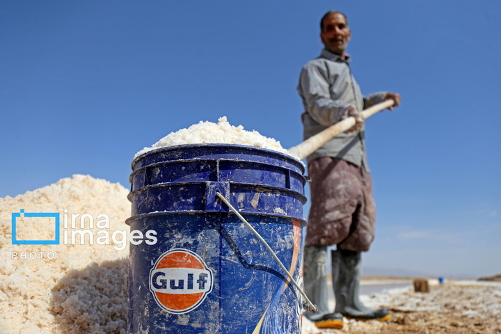 برداشت نمک در دل کویر