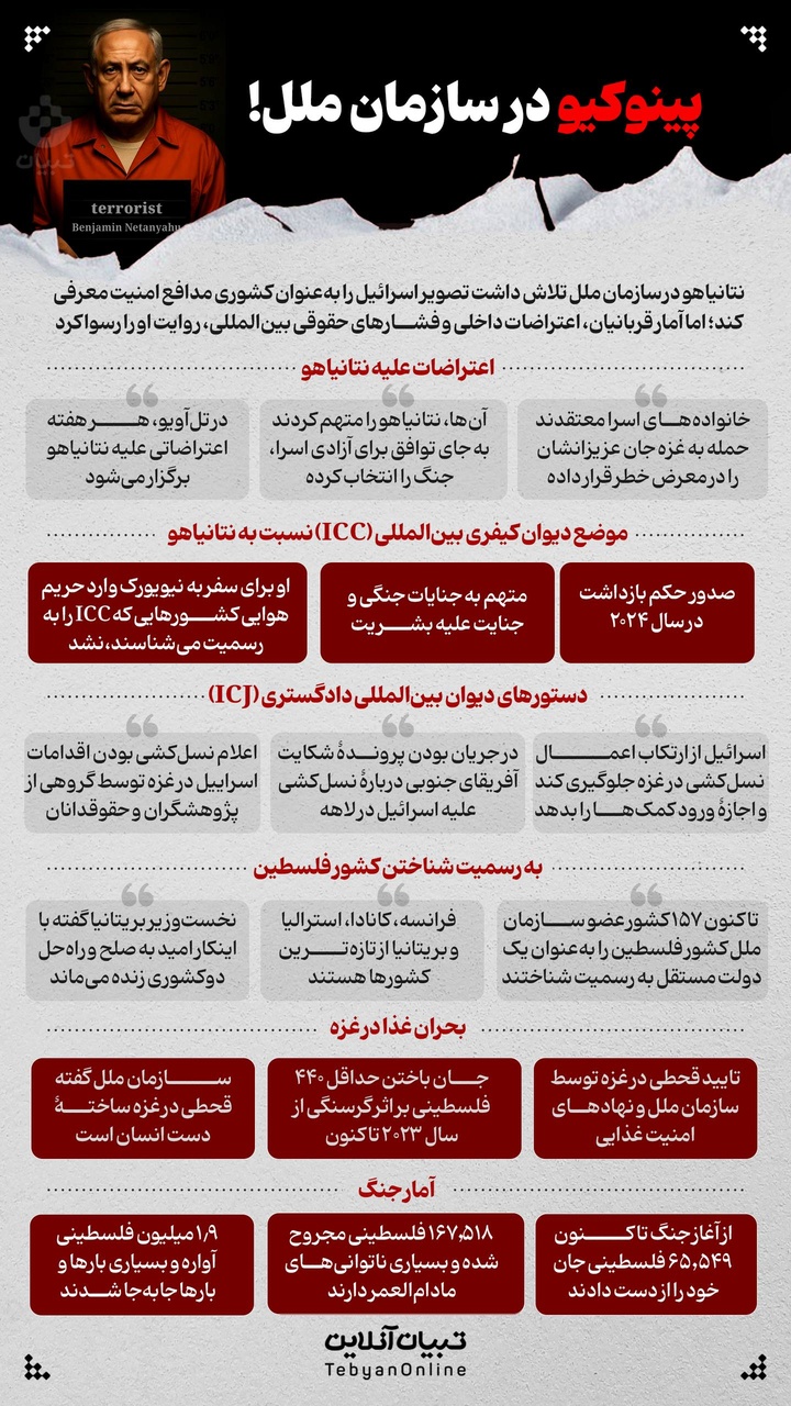 پینوکیو در سازمان ملل!