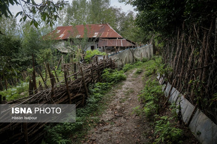 روستای خالی از سکنه اطراف سد لفور - سوادکوه
