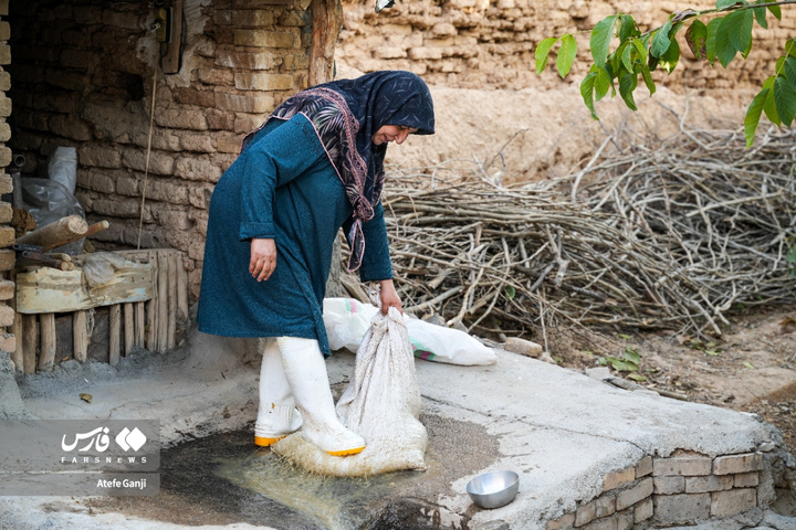 شیره‌پزان پاییزی