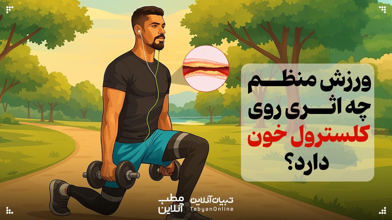 ورزش منظم چه اثری روی کلسترول خون دارد؟