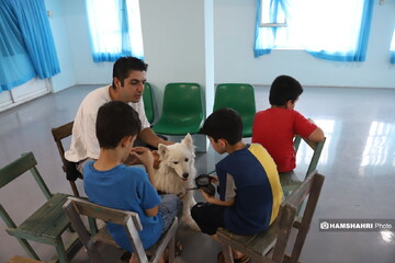 سگ‌های دستیار به کمک کودکان اتیسم می‌آیند