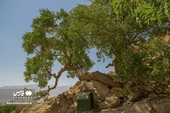 سایه‌سالاران چهارمحال و بختیاری