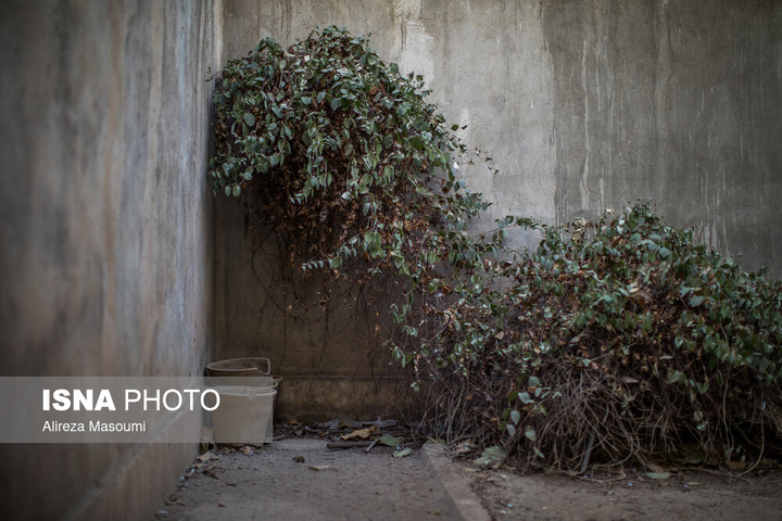 دفتر کار احمد محمود در نارمک تهران