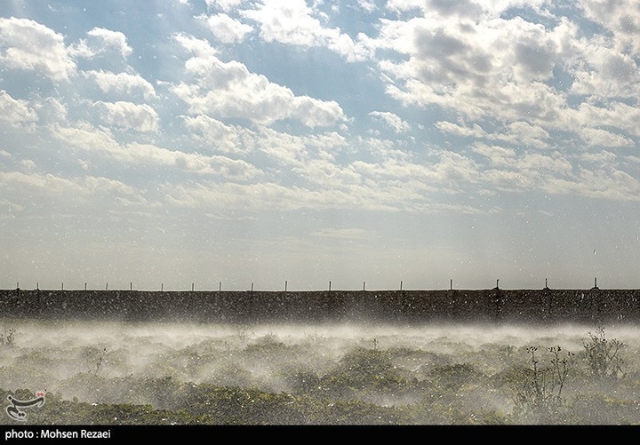 بزرگترین گلخانه توت فرنگی کشور