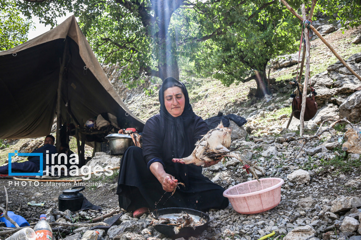 زندگی عشایری