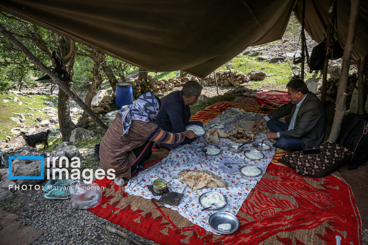 زندگی عشایری