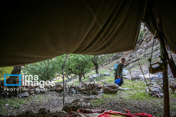 زندگی عشایری