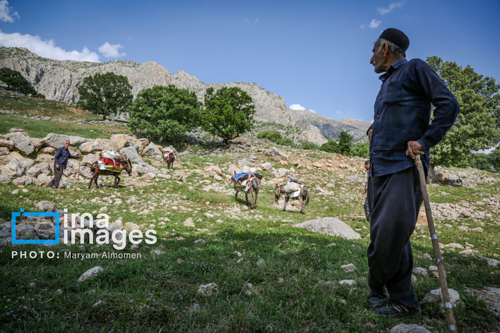 زندگی عشایری