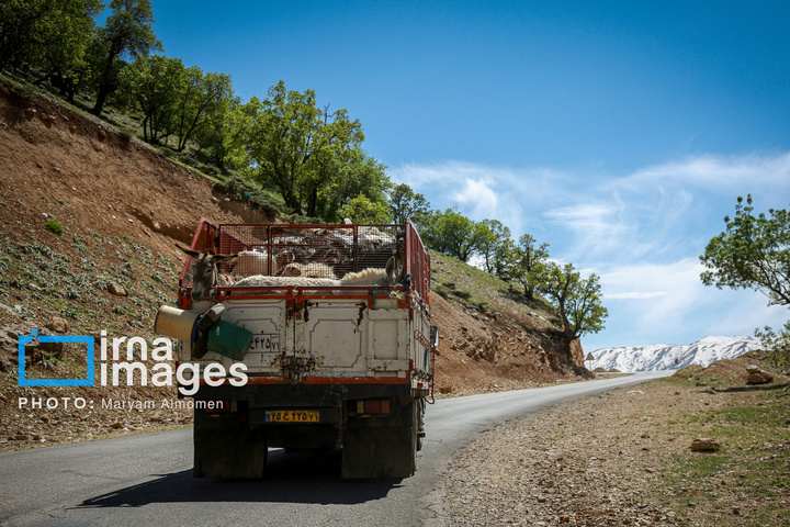 زندگی عشایری