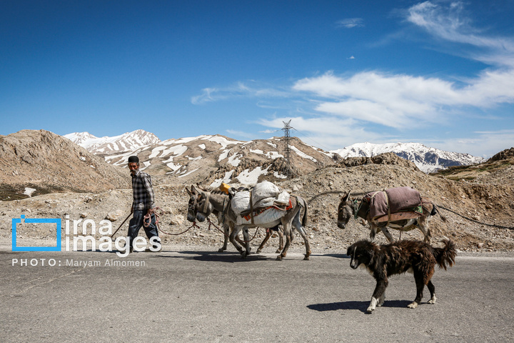 زندگی عشایری