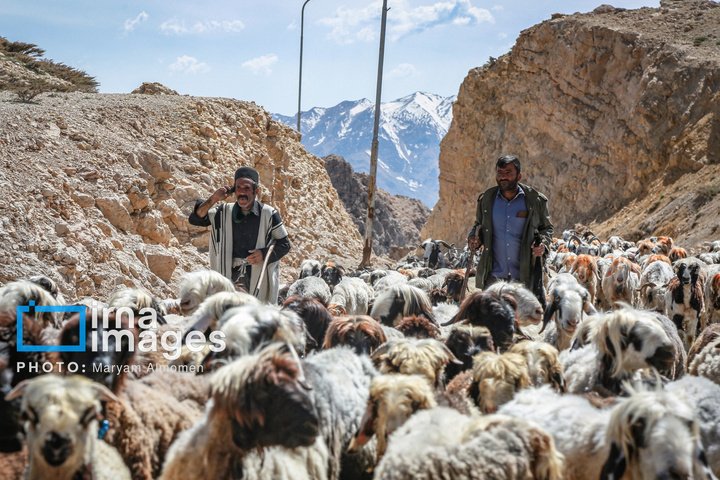 زندگی عشایری