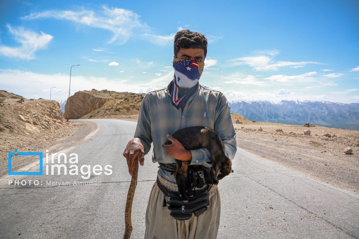 زندگی عشایری