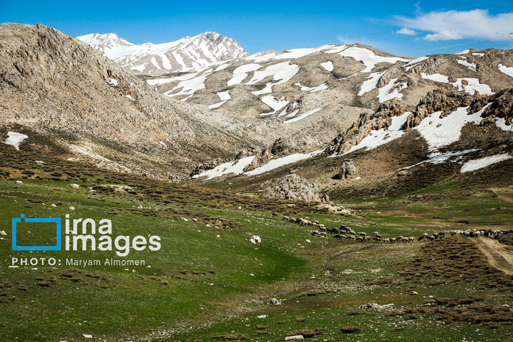 زندگی عشایری