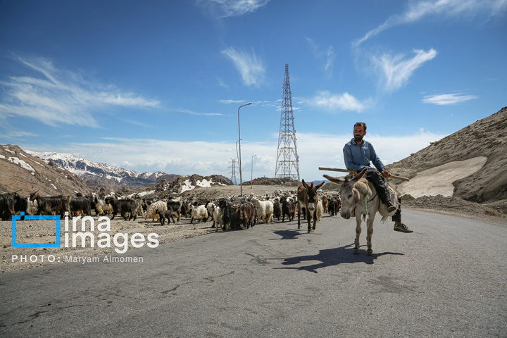 زندگی عشایری