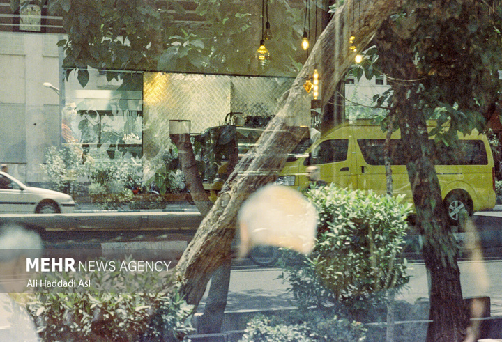 تنهایی در هیاهو