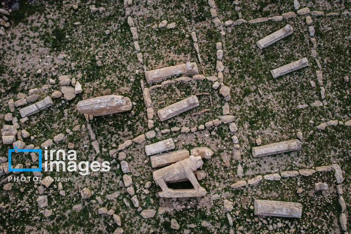 مرگ آرام شیرهای سنگی