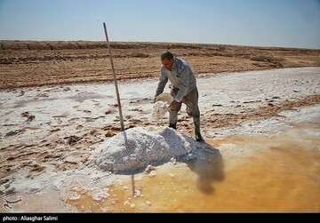 برداشت سنتی نمک در خراسان شمالی