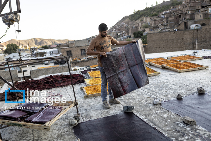 خُرو؛ پایتخت آلوی ایران