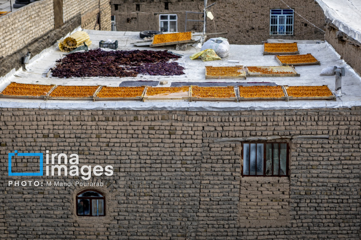 خُرو؛ پایتخت آلوی ایران