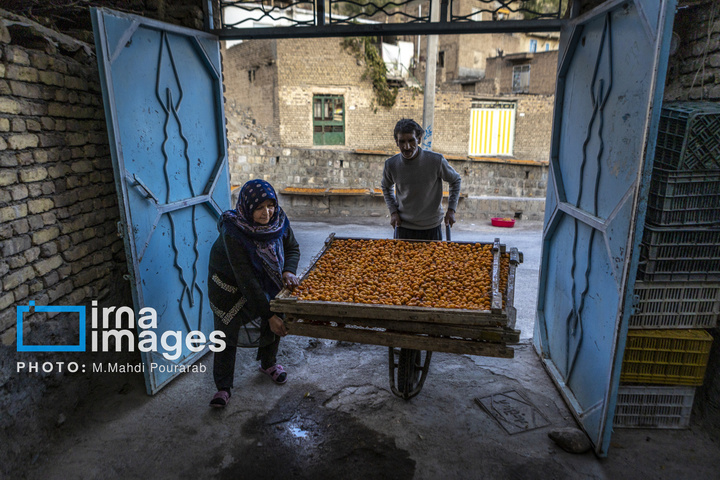 خُرو؛ پایتخت آلوی ایران