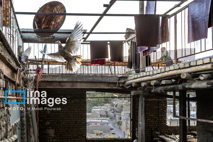 خُرو؛ پایتخت آلوی ایران