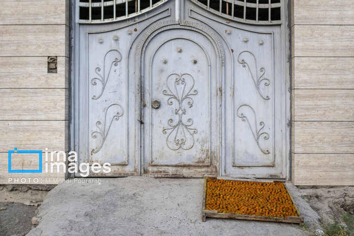 خُرو؛ پایتخت آلوی ایران