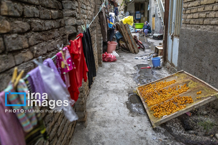 خُرو؛ پایتخت آلوی ایران