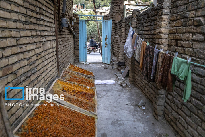 خُرو؛ پایتخت آلوی ایران