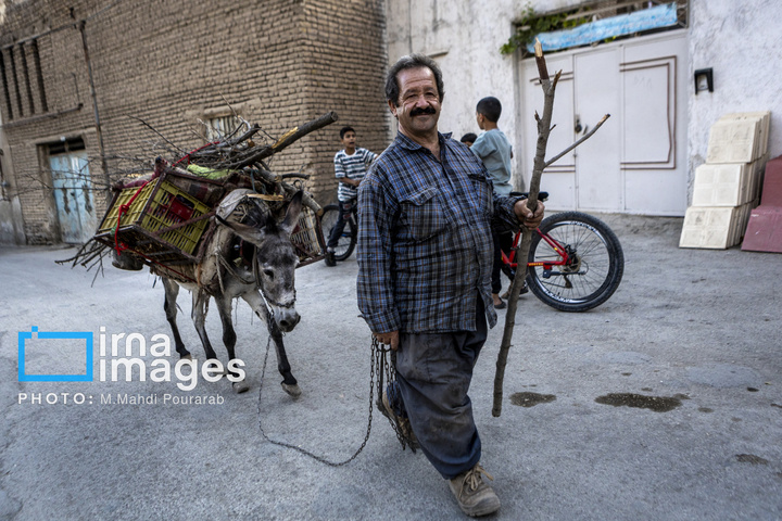 خُرو؛ پایتخت آلوی ایران