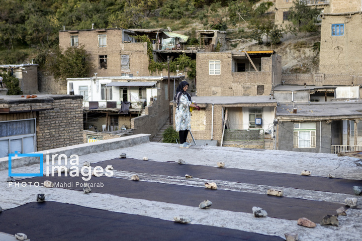 خُرو؛ پایتخت آلوی ایران